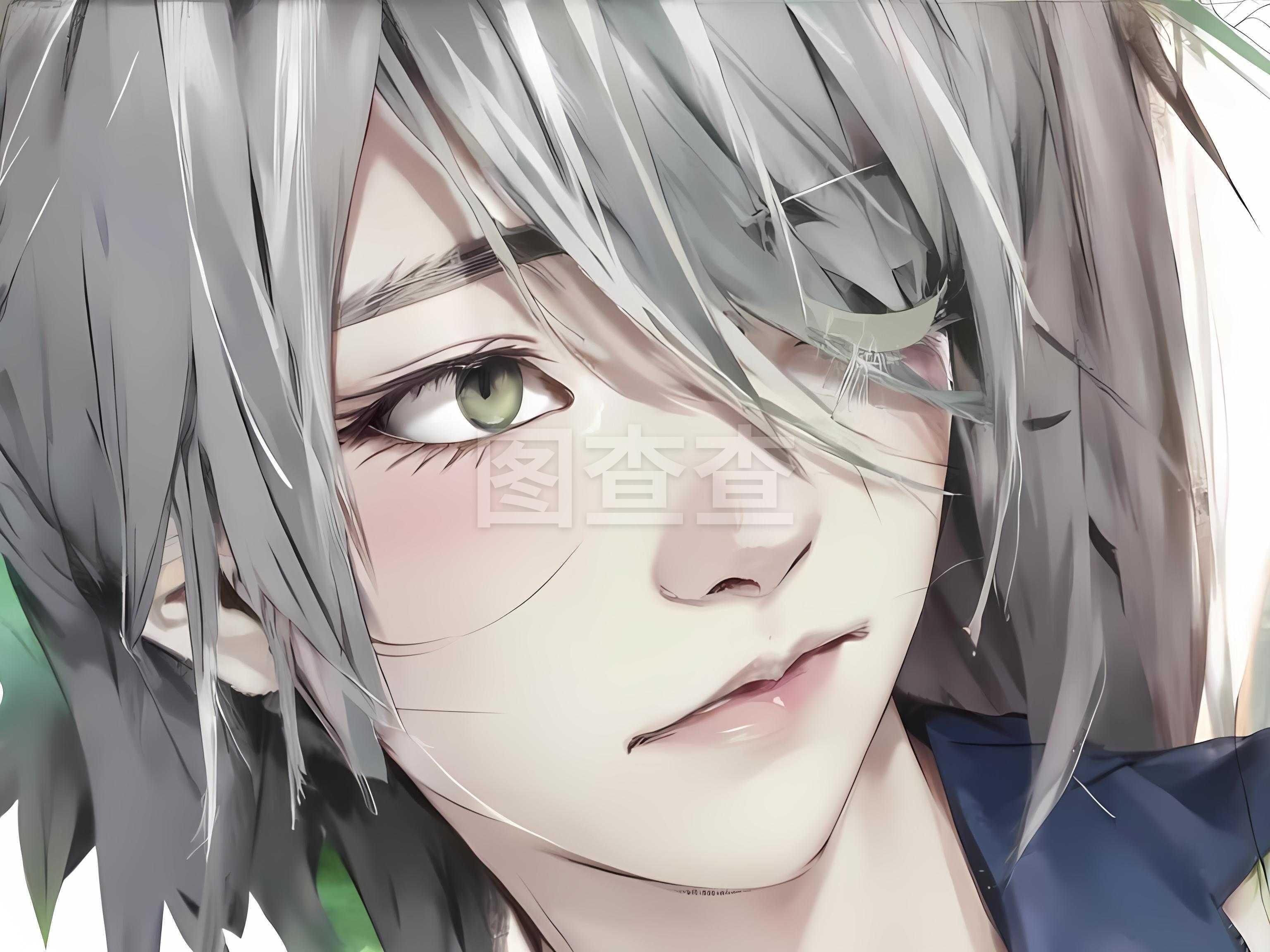 白鹭学园纪事